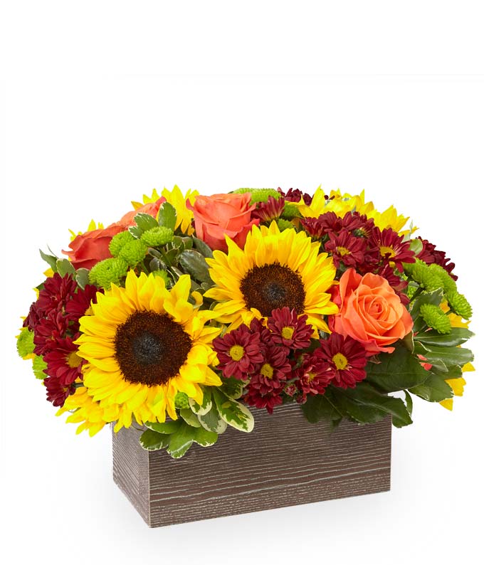 Sunflowers, orange roses, and burgundy mums in a wooden box