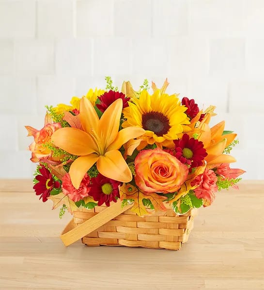 Fields Of Europe Basket - Inspired by the rustic beauty of the European countryside, our best-selling autumn bouquet is designed with fresh-picked flowers in a charming basket. Shades of golden yellow, warm orange and pops of rich red create a vibrant gift that lets them know they’re on your mind.  All-around arrangement with red daisy poms, orange Asiatic lilies and mini carnations, autumn-colored roses, sunflowers; accented with assorted greenery Artistically designed in a splitwood handled basket with liner; measures 7"H Large arrangement measures approximately 13"H x 17"L Small arrangement measures approximately 12"H x 14"L To ensure lasting beauty, Asiatic lilies may arrive in bud form and will fully bloom over the next few days Sunflowers may have light or dark centers, based on availability