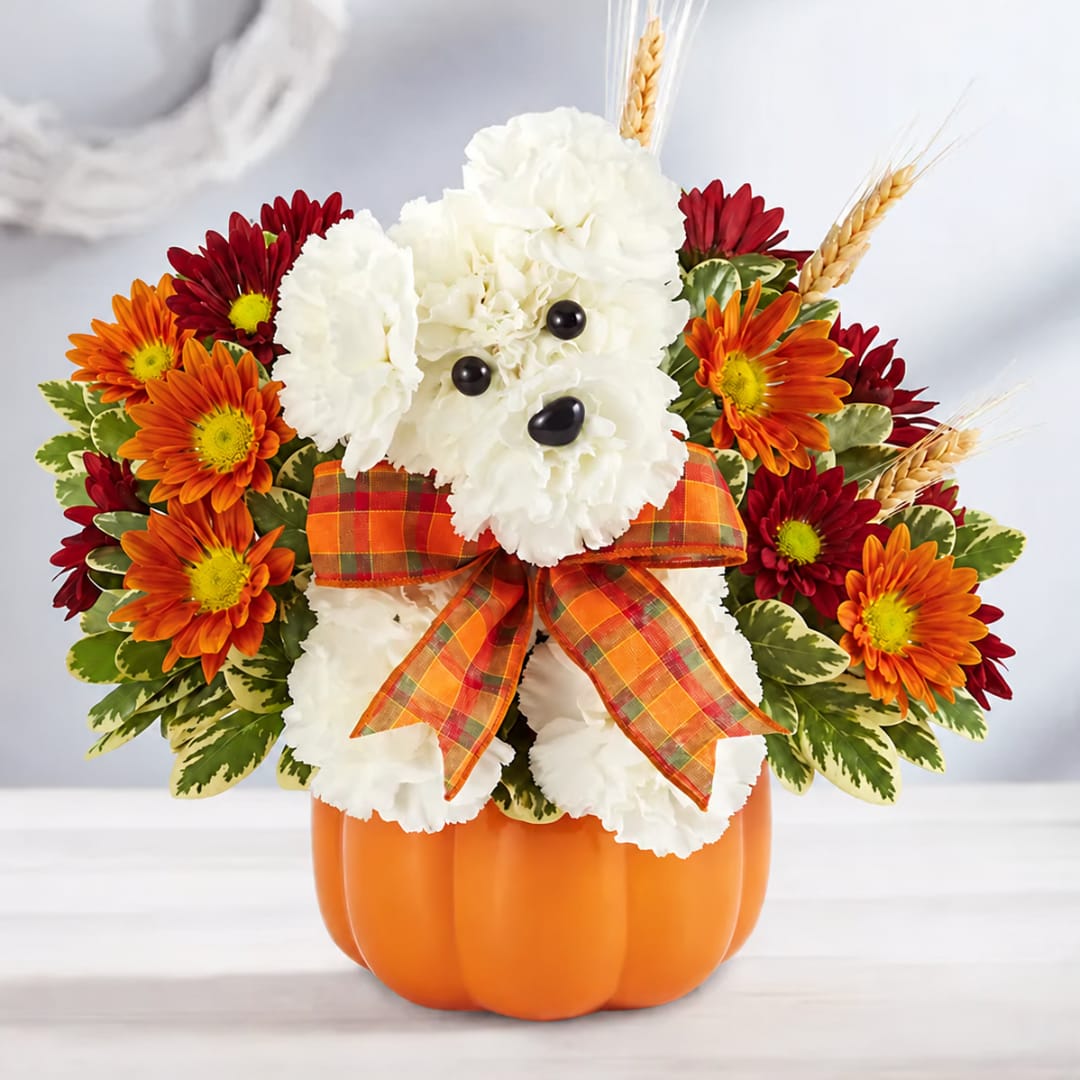 White teddy bear arrangement in a pumpkin container with orange and red flowers