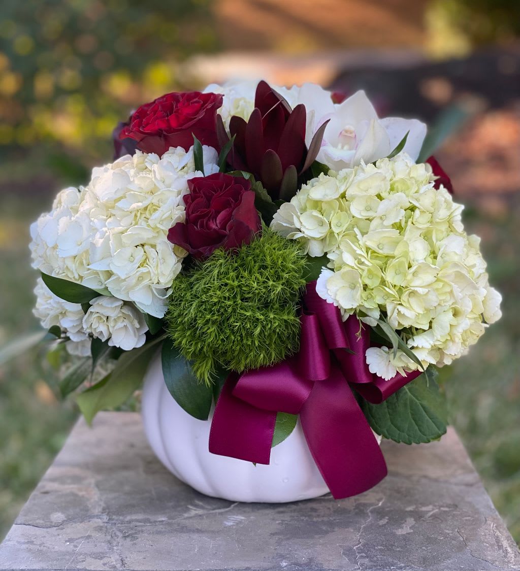 Pumpkin's Perfection - Pumpkin’s Perfection | Wilmington, Delaware Florist  Celebrate the beauty of autumn with Pumpkin’s Perfection, an elegant floral arrangement designed by Petals Flowers and Fine Gifts in Wilmington, Delaware. This seasonal centerpiece combines lush white hydrangea, textural green trichilium, and dramatic dark red roses, accented by striking burgundy protea and exotic orchids. Arranged in a chic white ceramic pumpkin and finished with a rich burgundy ribbon, this design captures the warmth and sophistication of fall.  As your trusted local florist in Wilmington, Delaware, we handcraft each arrangement with premium flowers and offer same-day, tax-free delivery to Wilmington, Hockessin, Newark, Chadds Ford, Glen Mills, Kennett Square, and nearby areas.  Why Choose Us? * Luxury floral arrangements made with premium blooms * Locally owned flower shop in North Wilmington, Delaware * Personal, friendly service with guaranteed satisfaction