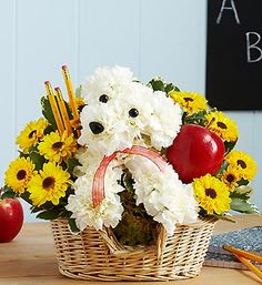 Basket arrangement with white flowers, yellow daisies, and red apples