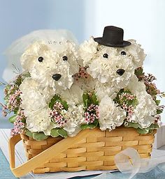 Two white floral teddy bears in a wicker basket with a ribbon