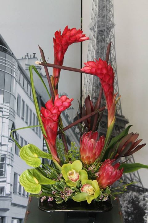 Tall tropical arrangement with red ginger and green orchids in a black container