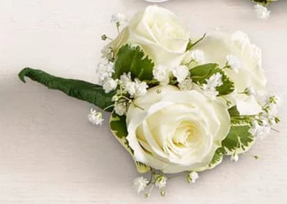 White rose boutonniere with small white filler flowers