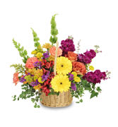 Colorful mixed flower basket with yellow daisies and purple blooms