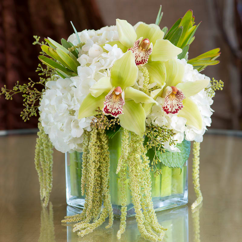 White hydrangeas and pale green orchids in a square glass vase