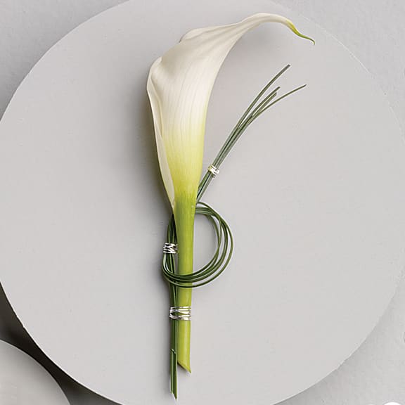 Single white calla lily with green stem wrap