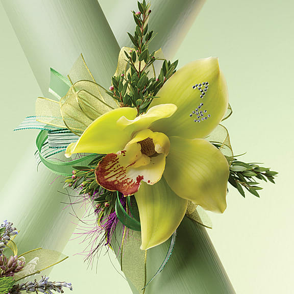 Yellow orchid corsage with ribbon and greenery