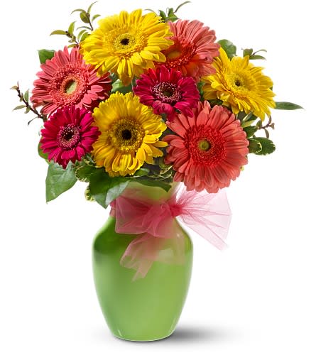Colorful gerbera daisy bouquet in a green vase with pink ribbon