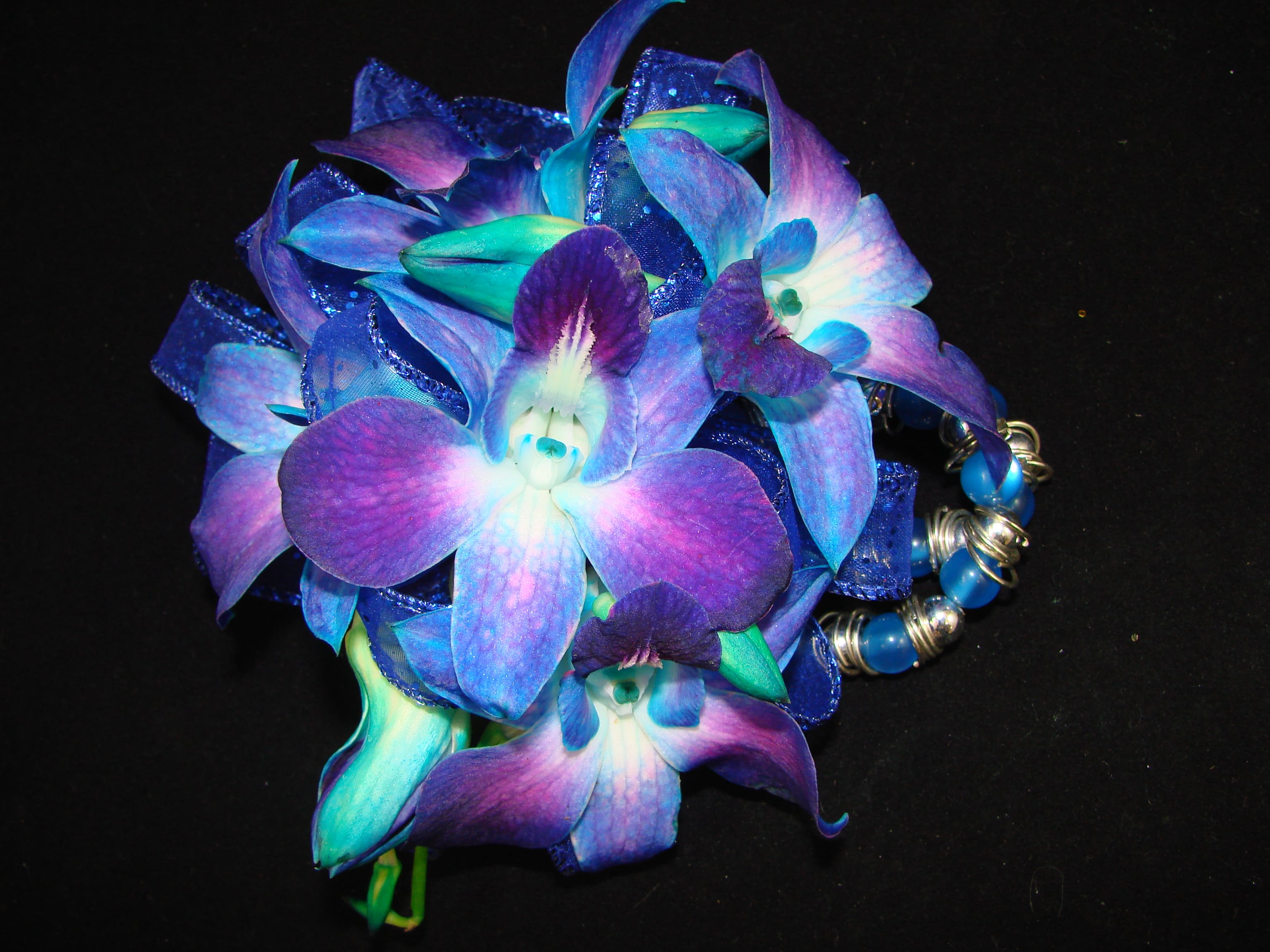 Purple and blue orchid corsage with beaded bracelet on a black background