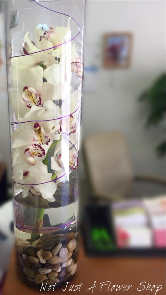 White orchids in a tall clear cylinder vase with decorative stones