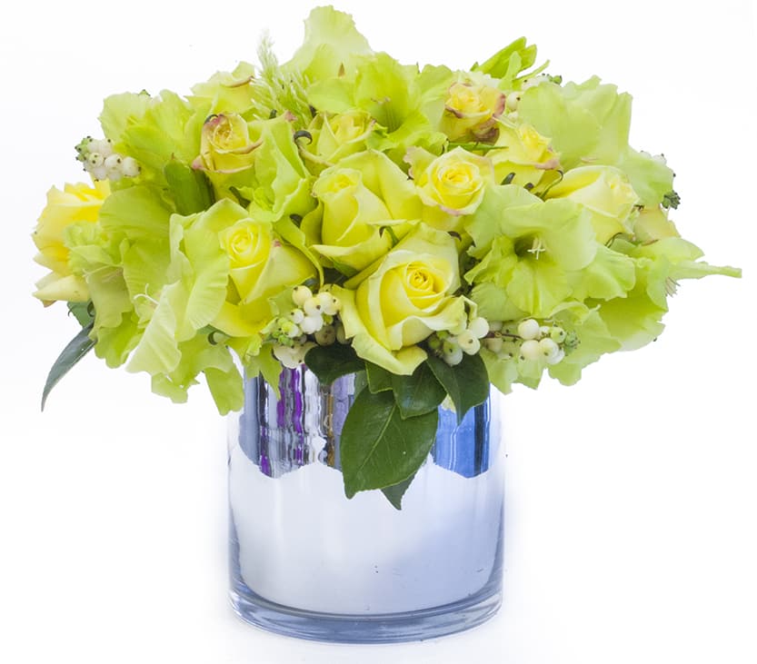 Green Roses And Other Seasonal Green Flowers - My Beverly Hills Florist - Approx. 10" Round Available in many colors