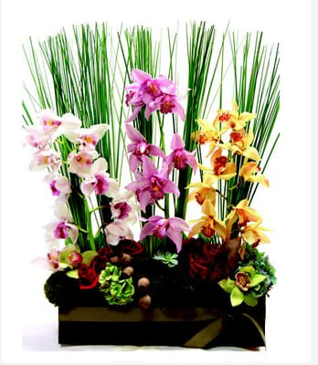 Orchid arrangement with tall grass-like stems in a black box