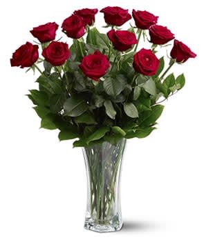 Red roses arranged in a clear glass vase