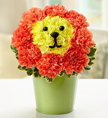 Blooming Lion - Product ID: 103390  EXCLUSIVE Put the crowning touch on their day by sending our truly original king of the jungle arrangement! Expertly designed by our florists in a reusable green tin planter, it features yellow mini carnations for the face and orange carnations for the regal mane. From birthdays to get well to "just because", this floral feline will have everyone roaring with delight! Arrangement of orange carnations and yellow mini carnations, accented with variegated pittosporum Includes eyes, nose and mouth that form a lion's face Artistically designed by our florists in a green tin that can be reused as a planter or to hold collectibles; measures 4.75"H Arrangement measures approximately 11"H x 7"L Our florists select the freshest flowers available so colors and varieties may vary