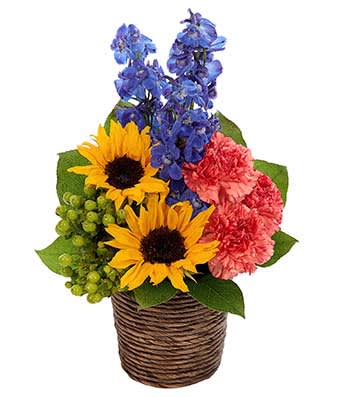 Sunflower Fresh Field Bouquet - Bold and beautiful sunflowers capture immediate attention in this imaginatively designed bouquet. Providing a colorful supporting cast are lovely blue delphinium, orange carnations and green hypericum. And bringing it all together is a dark brown basket. Measures 10”H X 9”L.