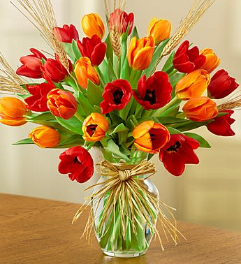 Timeless Tulips for Fall - Product ID: 103591   Who says tulips are only for Spring? The cheery, colorful tulips in our beautiful autumn bouquet are picked fresh, then hand-arranged in a simple clear vase tied with raffia to let the beauty of the season shine through. Send a smile today with this timeless favorite! Bouquet of the freshest red and orange tulips accented with wheat Hand-designed by our expert florists in a classic clear glass vase tied with raffia; vase measures 8"H Large arrangement measures approximately 17"H x 16"L Medium arrangement measures approximately 15"H x 15"L Small arrangement measures approximately 13"H x 14"L Our florists hand-design each arrangement, so colors, varieties, and container may vary due to local availability