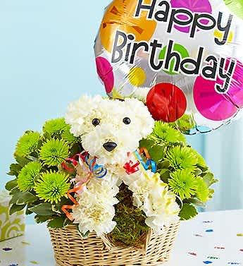 Party Animal - Product ID: 91876  EXCLUSIVE Bark up the right tree for their birthday surprise -- send our hand-designed a-DOG-able arrangement, crafted by our florists with white carnations and playful poms. All dressed up to party down, it's paired with a festive Happy Birthday balloon and decorative ribbon in a dapper dog bed. It's a gift that's sure to be the pick of the litter. Truly original a-DOG-ableÂ® arrangement of white carnations, poms and variegated pittosporum Arranged in the shape of an adorable puppy, complete with eyes, nose and colorful curled ribbon Arrives in a willow dog bed basket lined with sheet moss Paired with a festive "Happy Birthday" 18"D Mylar balloon; balloon design may vary due to local availability Arrangement measures approximately 11.5"H x 10"L Our florists select the freshest flowers available so floral colors and varieties may vary