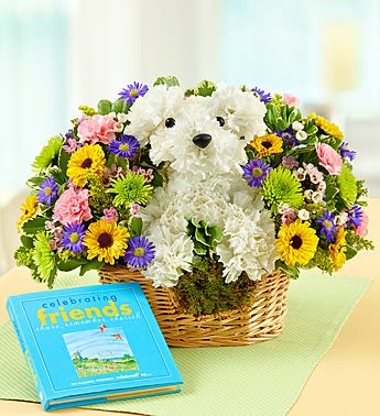 Man's Best Friend with Book - Product ID: 95241  EXCLUSIVE If dogs are truly "man's best friend", our playful puppy-shaped a-DOG-able arrangement is an ideal surprise to share with your own friends. Crafted from fresh white carnations, this dapper dog arrives surrounded by a kaleidoscope of bright blooms that will make any friend, buddy or pal in your life smile. Paired with the keepsake book Celebrating Friends, by Jim McCann, a great way to share memories and stories that pay tribute to the power of friendship. Fresh a-DOG-ableÂ® arrangement of white carnations, gathered with vibrant poms, mini carnations, solidago, monte casino, waxflower and variegated pittosporum Arranged by our select florists in the shape of an adorable dog, complete with eyes and nose Arrives in a willow dog bed basket lined with moss Includes the hardcover gift book Celebrating Friends: Share, Remember, Cherish, by Jim McCann, founder of 1800Flowers.comÂ® and Celebrations.com, a celebration of the unwavering and steadfast nature of friendship Arrangement measures approximately 11"H x 13"L Our florists select the freshest flowers available so floral colors and varieties may vary