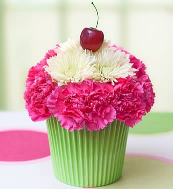 Cupcake in Bloom - Product ID: 95195  EXCLUSIVE Sweet as a cupcake. Without the calories. Surprise someone special this season with a hand-crafted, truly original hot pink carnation confection. Topped with a playful cherry pick, it's a wonderful welcome for birthdays, thank yous, or any day you want to send a smile. Truly original arrangement of the freshest hot pink carnations and white poms Designed by our florists in a green cupcake cup container; measures 2.75"H Comes complete with a realistic red cherry on top for more lasting smiles Arrives in our exclusive cupcake box packaging Arrangement measures approximately 6"H x 6.5"L Our florists select the freshest flowers available so colors and varieties may vary