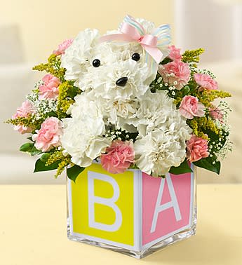 It's a-DOG-able! Girl - Product ID: 105650G  EXCLUSIVE Celebrate all the joy a new baby brings with the most precious pup in the litter. Available with pink accents for girls and blue for boys, our utterly adorable a-DOG-ableÂ® arrangement arrives in a glass cube vase lined with a sweet insert that looks just like a baby's block. A truly original and truly cute gift for baby showers, baptisms or giving the proud new parents something to go gaga over! Baby girl a-DOG-ableÂ® arrangement crafted from fresh white carnations, light pink mini carnations, gypsophilia, solidago, variegated pittosporum and salal, finished with a pink bow Baby boy a-DOG-ableÂ® arrangement crafted from fresh white carnations, blue delphinium, athos poms, gypsophilia, variegated pittosporum and salal, finished with a blue bow Designed by our florists in a clear glass cube vase wrapped with a colorful ribbon featuring the letters B-A-B-Y; vase measures 5"H x 5"D Arrangements measure approximately 12"H x 10"L each Our florists select the freshest flowers available so colors and varieties may vary