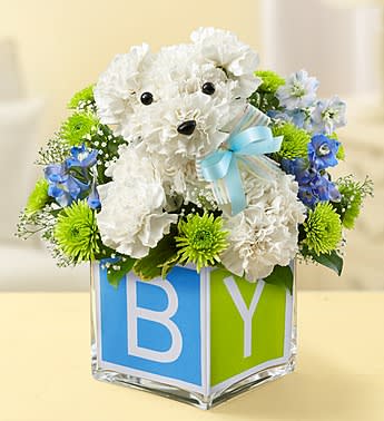 It's a-DOG-able Boy - Product ID: 105650B  EXCLUSIVE Celebrate all the joy a new baby brings with the most precious pup in the litter. Available with pink accents for girls and blue for boys, our utterly adorable a-DOG-ableÂ® arrangement arrives in a glass cube vase lined with a sweet insert that looks just like a baby's block. A truly original and truly cute gift for baby showers, baptisms or giving the proud new parents something to go gaga over! Baby girl a-DOG-ableÂ® arrangement crafted from fresh white carnations, light pink mini carnations, gypsophilia, solidago, variegated pittosporum and salal, finished with a pink bow Baby boy a-DOG-ableÂ® arrangement crafted from fresh white carnations, blue delphinium, athos poms, gypsophilia, variegated pittosporum and salal, finished with a blue bow Designed by our florists in a clear glass cube vase wrapped with a colorful ribbon featuring the letters B-A-B-Y; vase measures 5"H x 5"D Arrangements measure approximately 12"H x 10"L each Our florists select the freshest flowers available so colors and varieties may vary