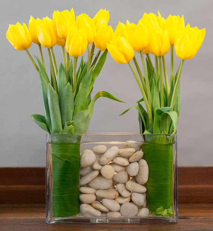 Yellow tulips in a clear rectangular vase with white stones
