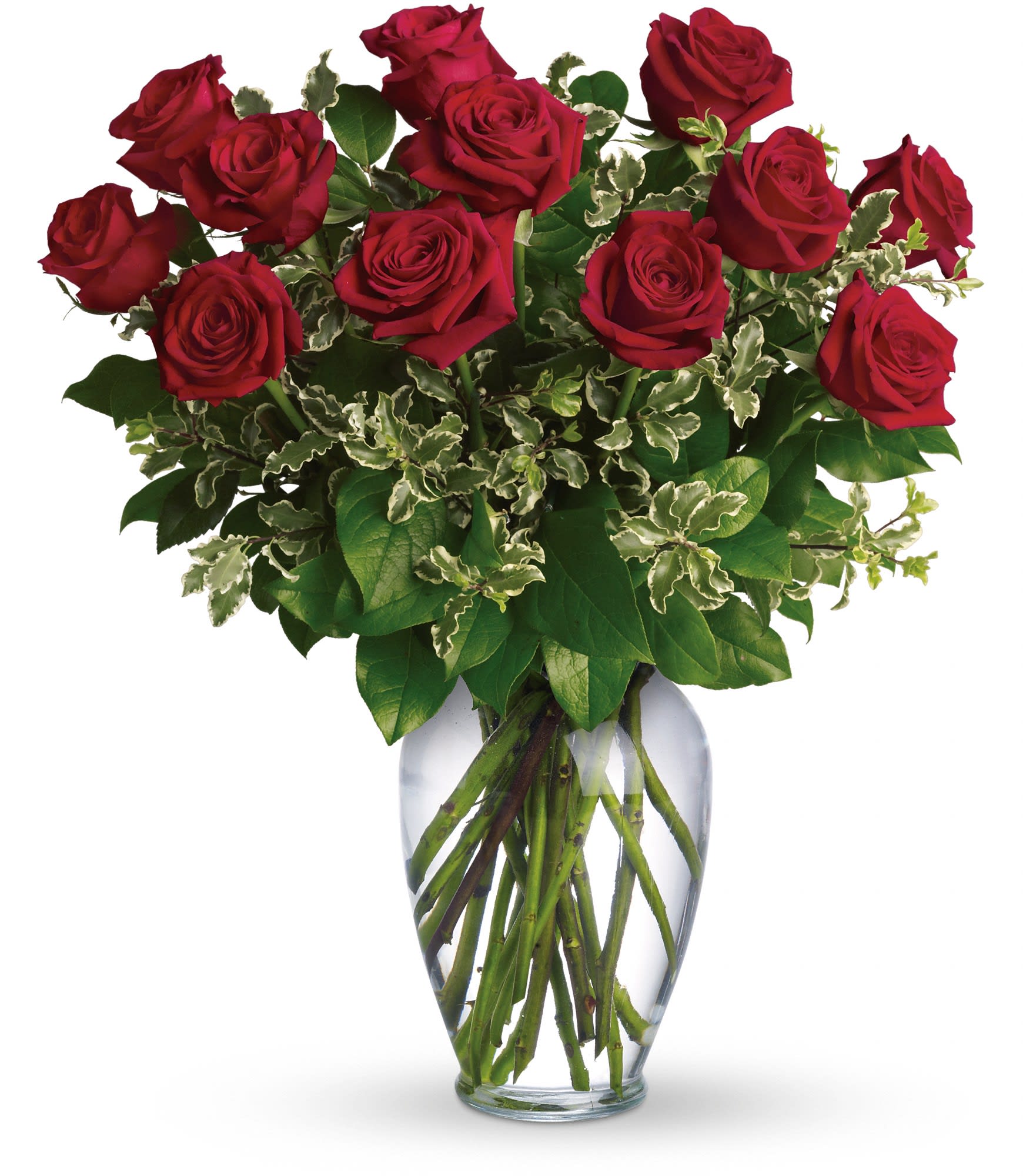 Red roses arranged in a clear glass vase
