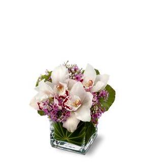 White orchids and purple flowers in a square glass vase