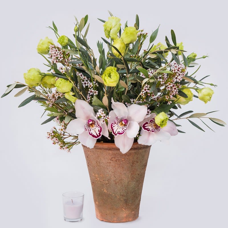 Potted floral arrangement with pale orchids and lime-green blooms