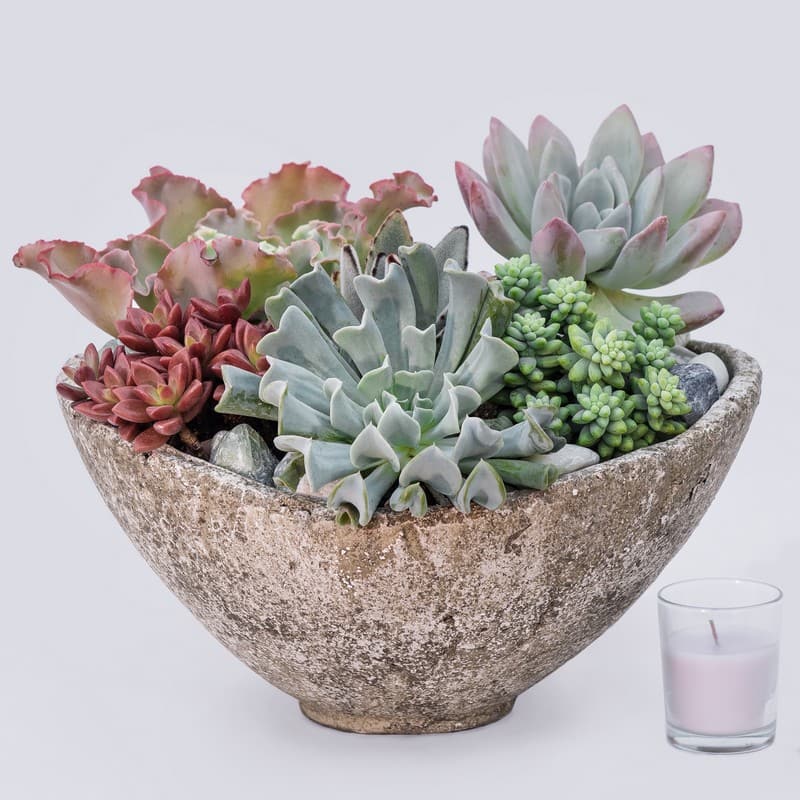 Succulent arrangement in a rustic bowl with a small candle beside it