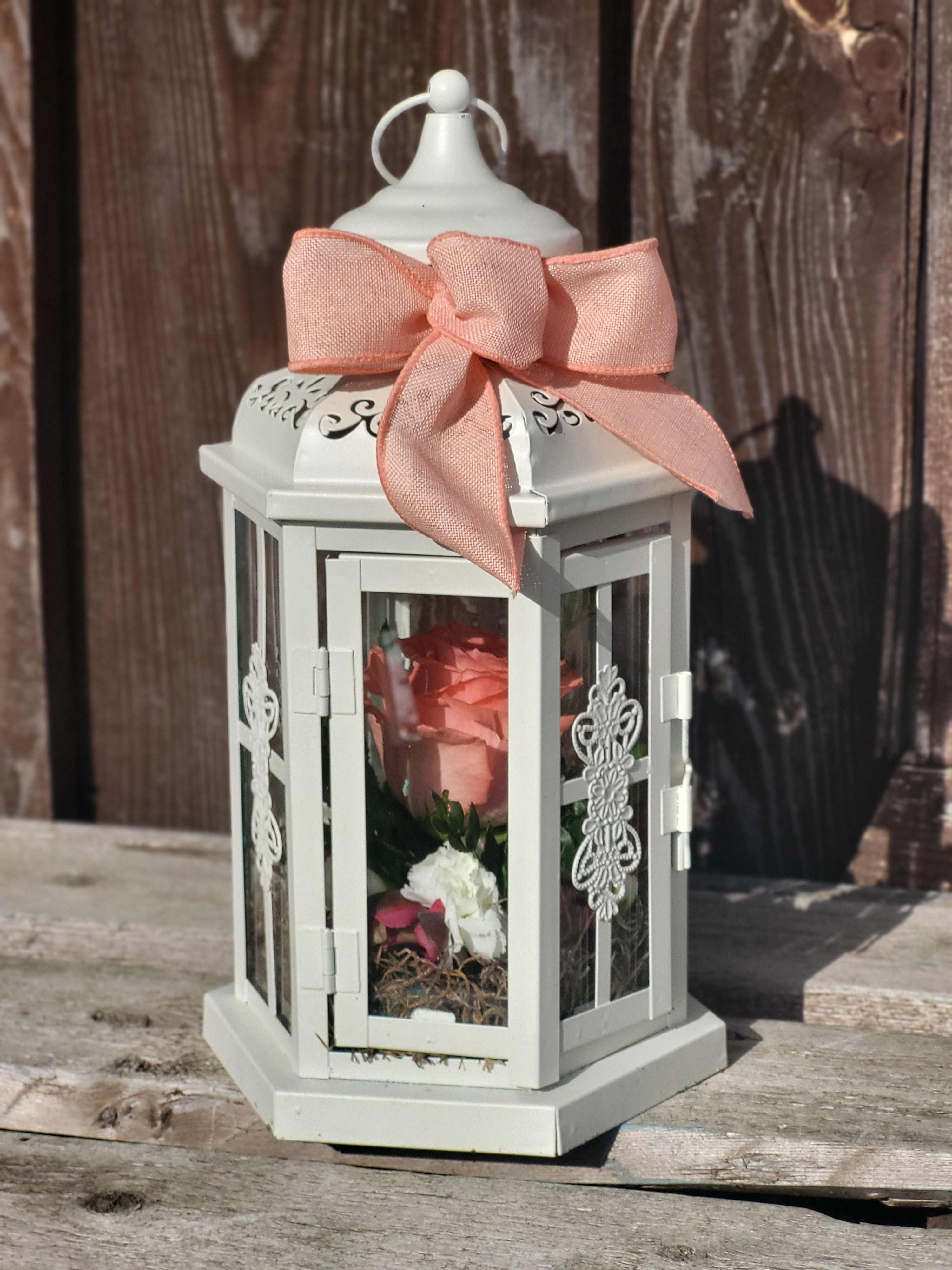 White lantern with a pink ribbon and a pink rose inside
