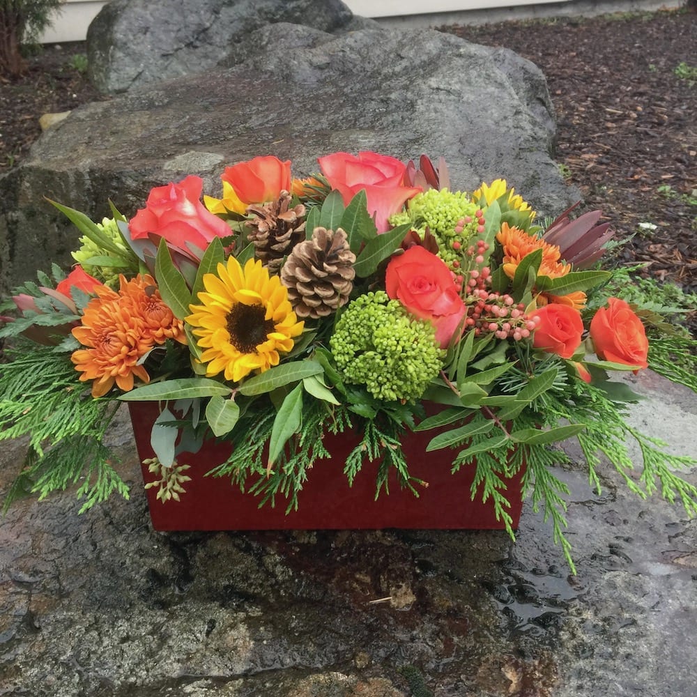 Giving Thanks - Great arrangement for gathering around a table,  bright fall arrangement lovely for any table
