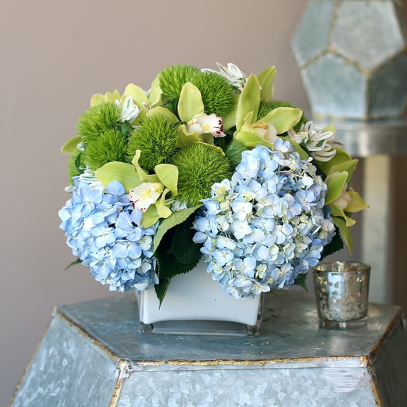Blue hydrangeas and green orchids in a white square vase