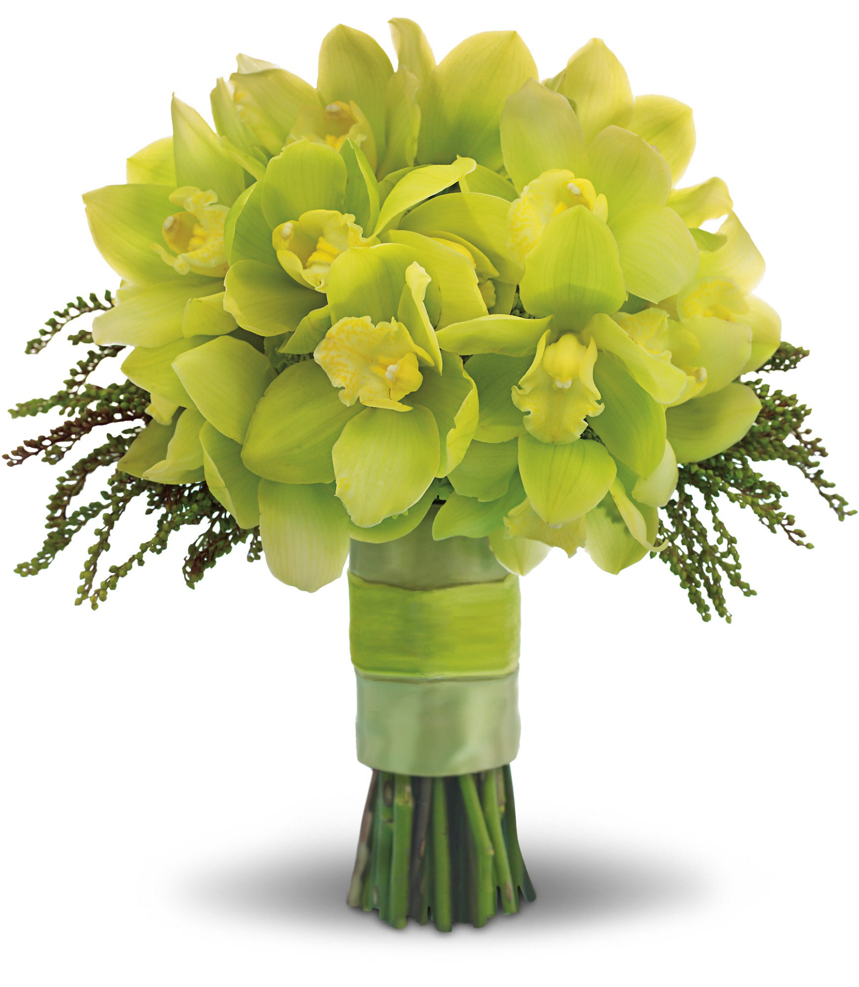 Lime green orchid bouquet with a wrapped stem