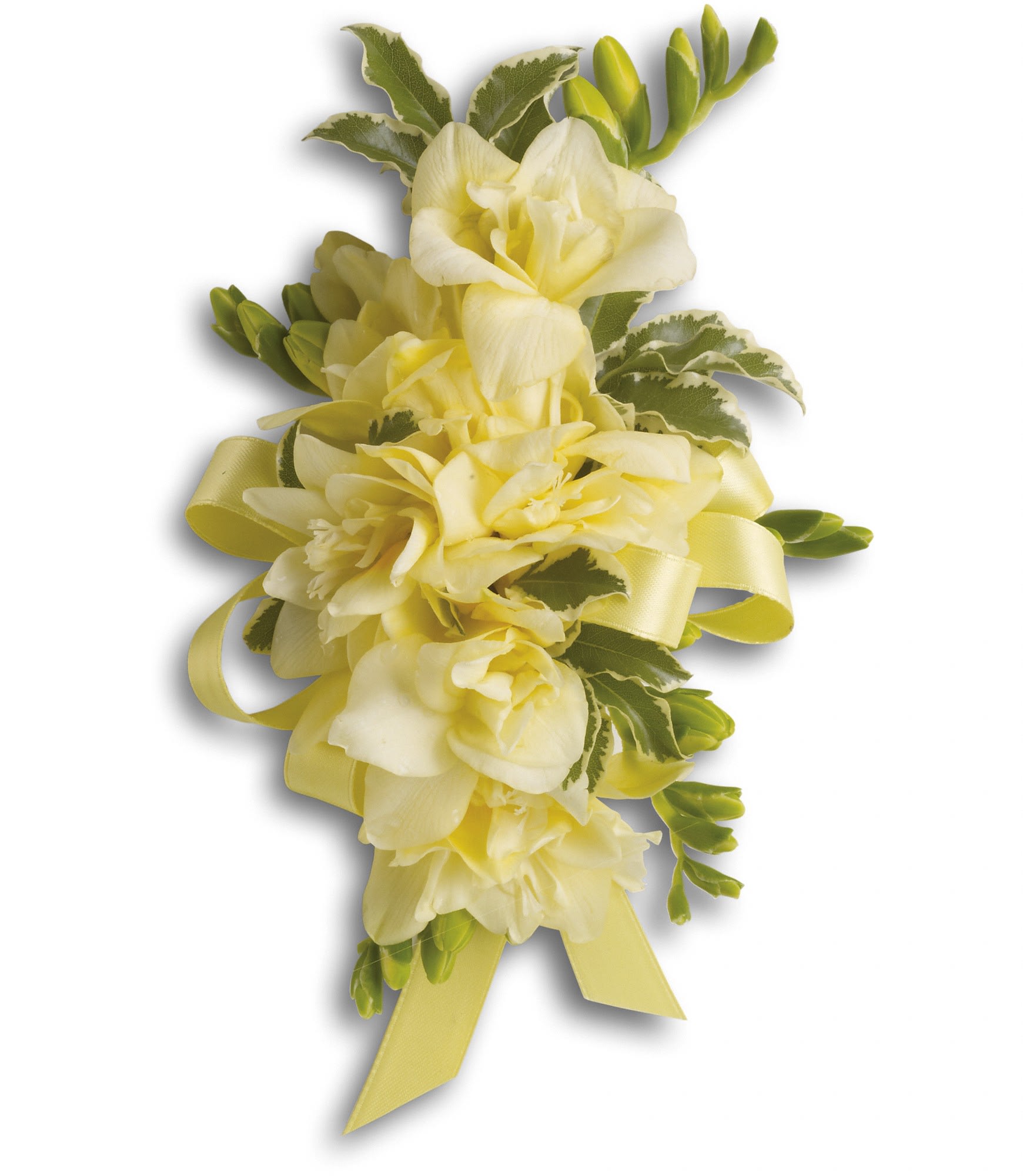 Yellow floral corsage with ribbon and green accents