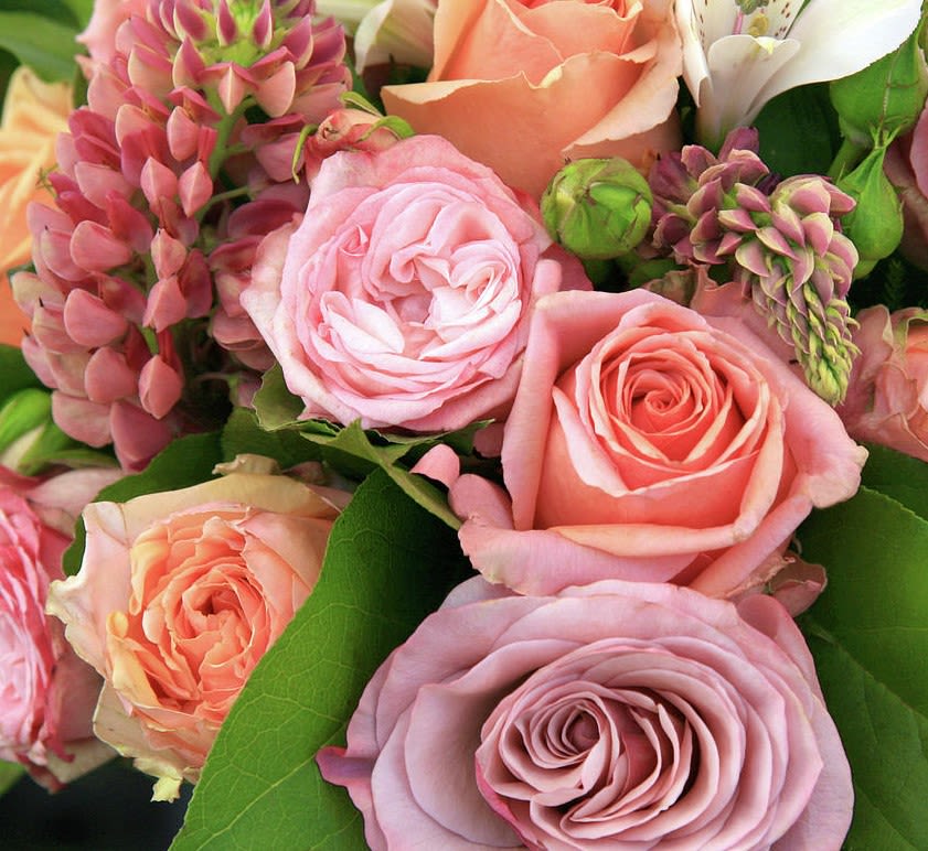Close-up bouquet of pink and peach roses with green buds