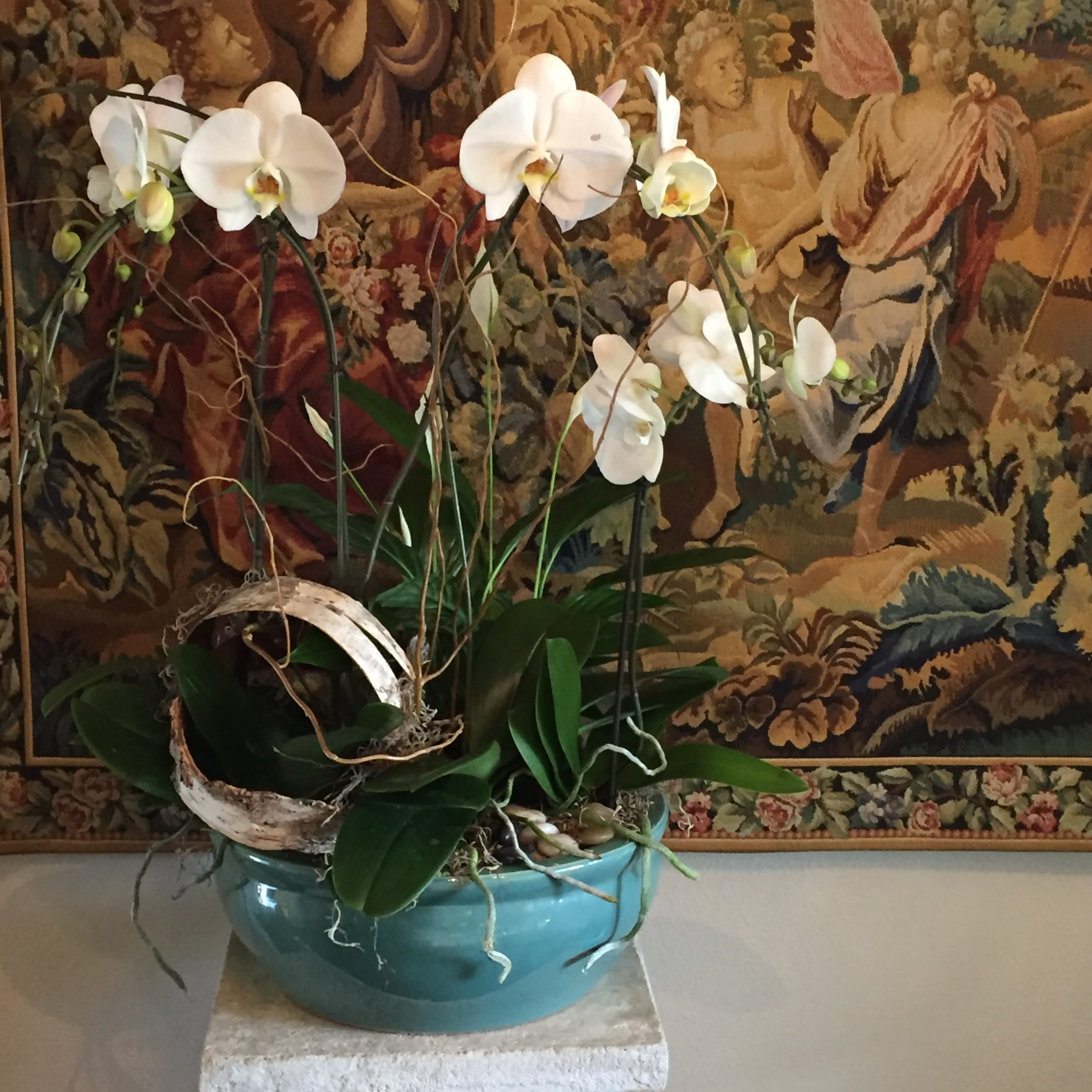 White orchids arranged in a turquoise ceramic pot
