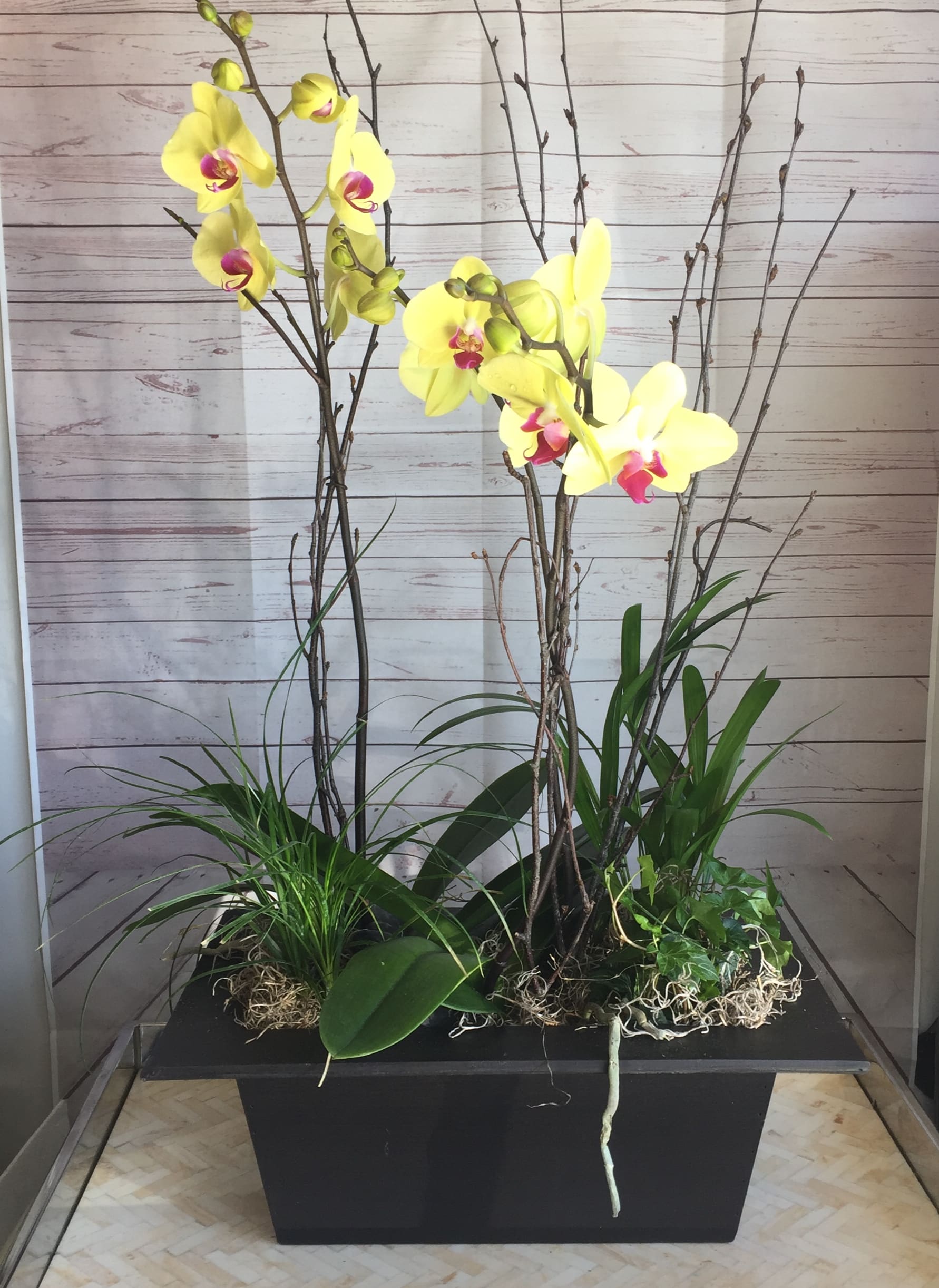 Yellow orchids arranged in a black rectangular planter