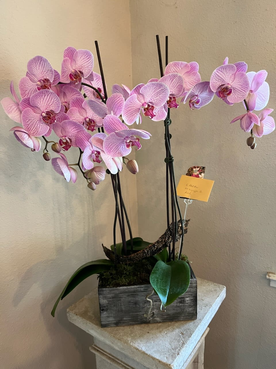 Pink orchid arrangement in a rustic wooden planter
