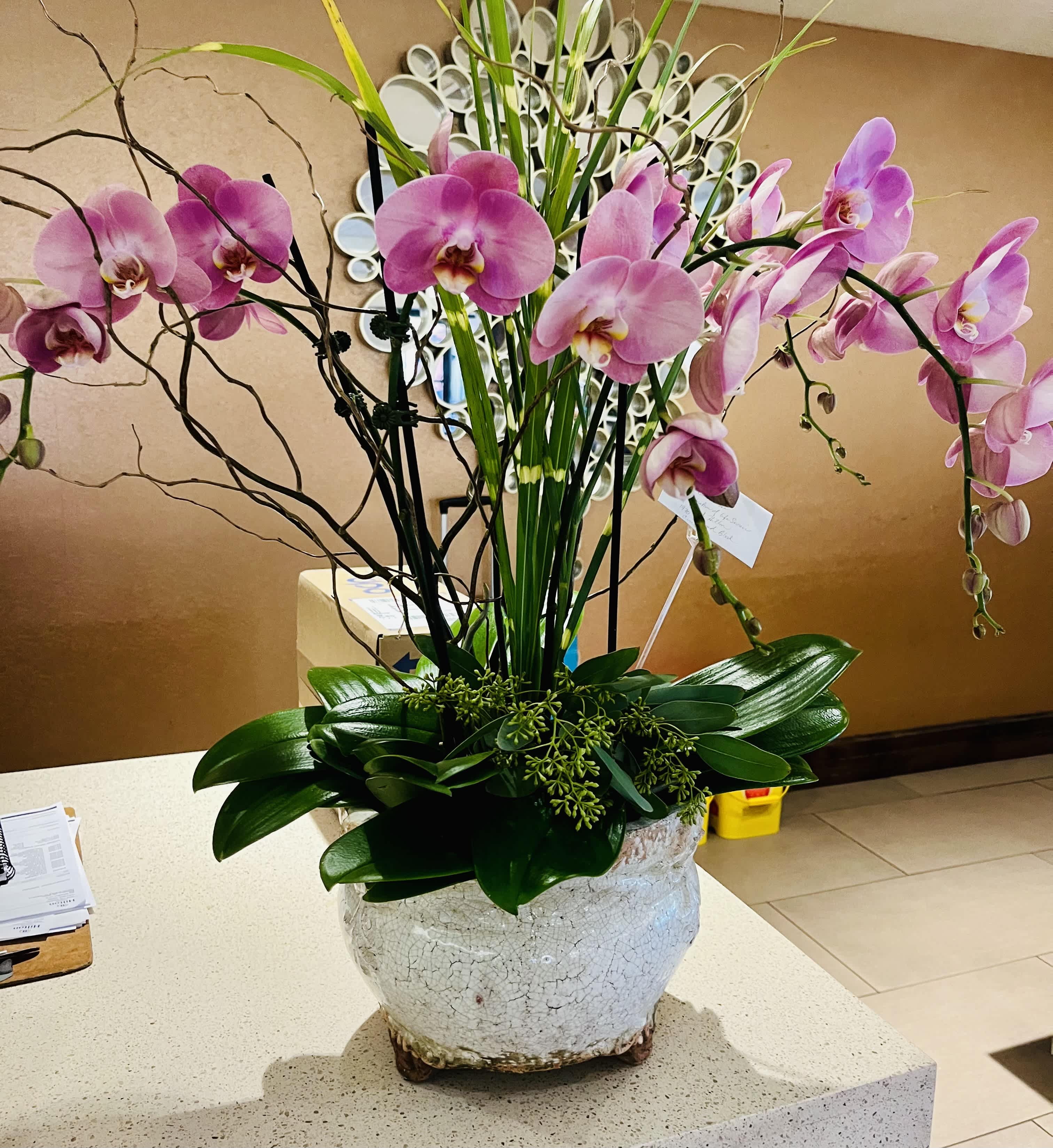 Pink orchids arranged in a white ceramic pot
