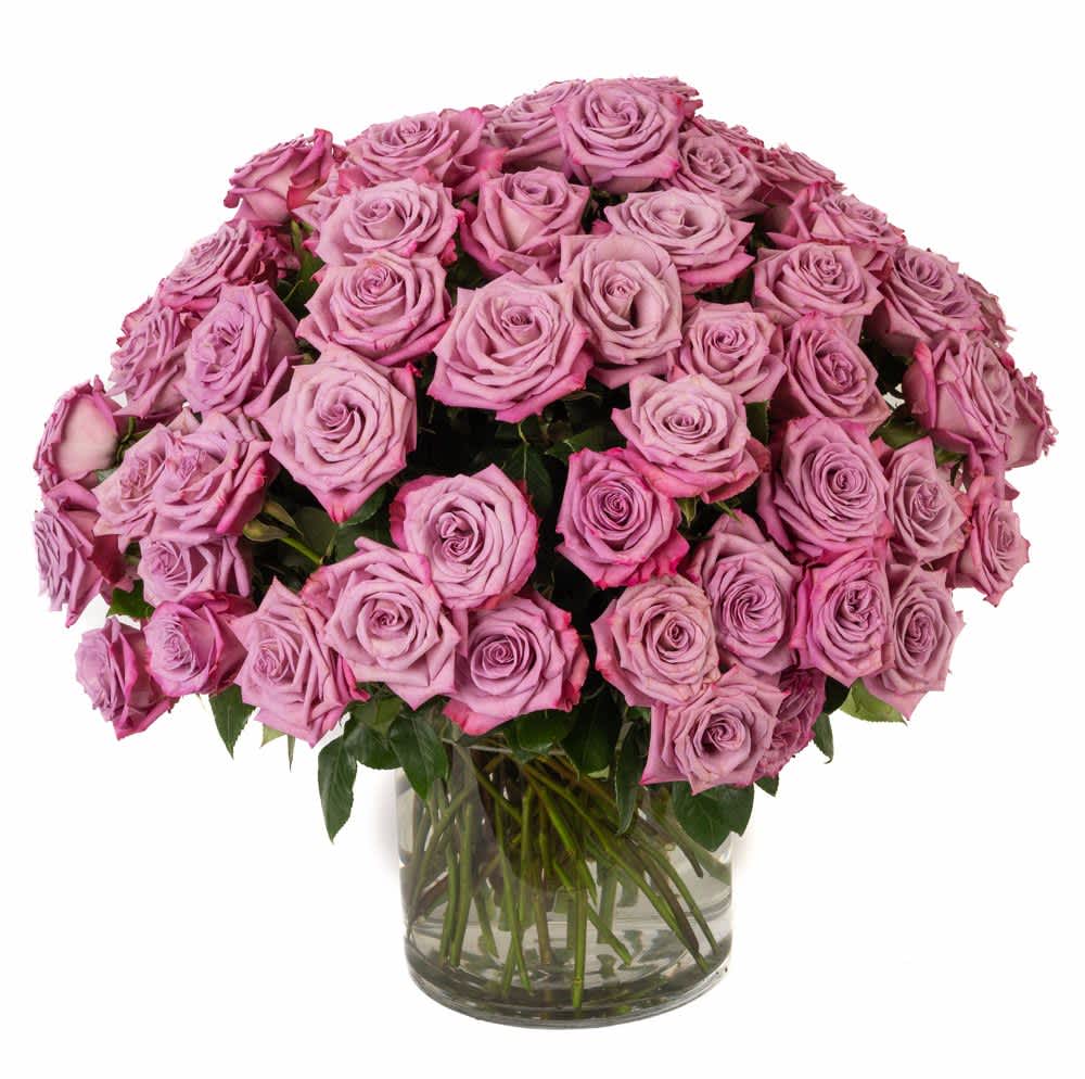 Large arrangement of lavender roses tightly clustered in a clear glass cylinder vase