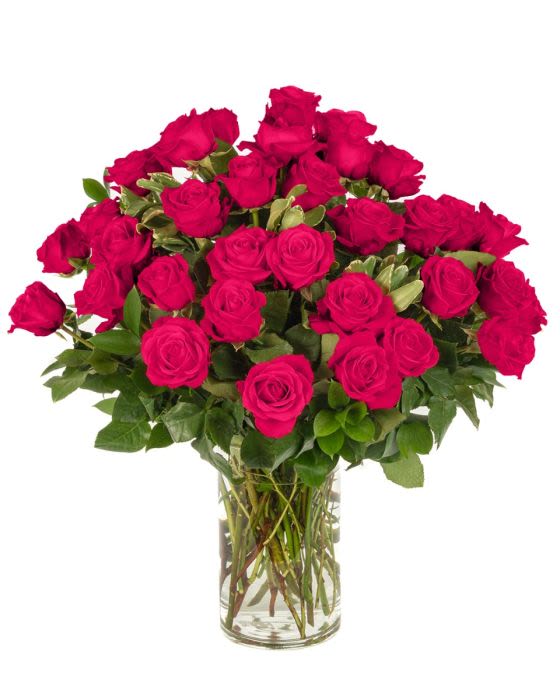 Three Dozen Hot Pink Roses - Our classic 3 dozen hot pink roses are designed with long-stem roses, rich greens in a clear cylinder vase.