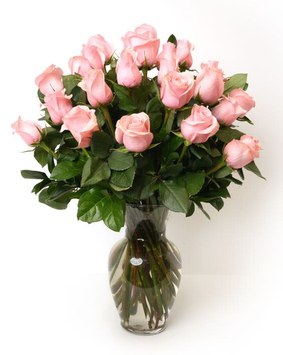 Two Dozen Soft Pink Roses - Our classic 2 dozen soft pink roses are designed with long-stem 70 cm roses, rich greens in a 11" clear glass urn. 