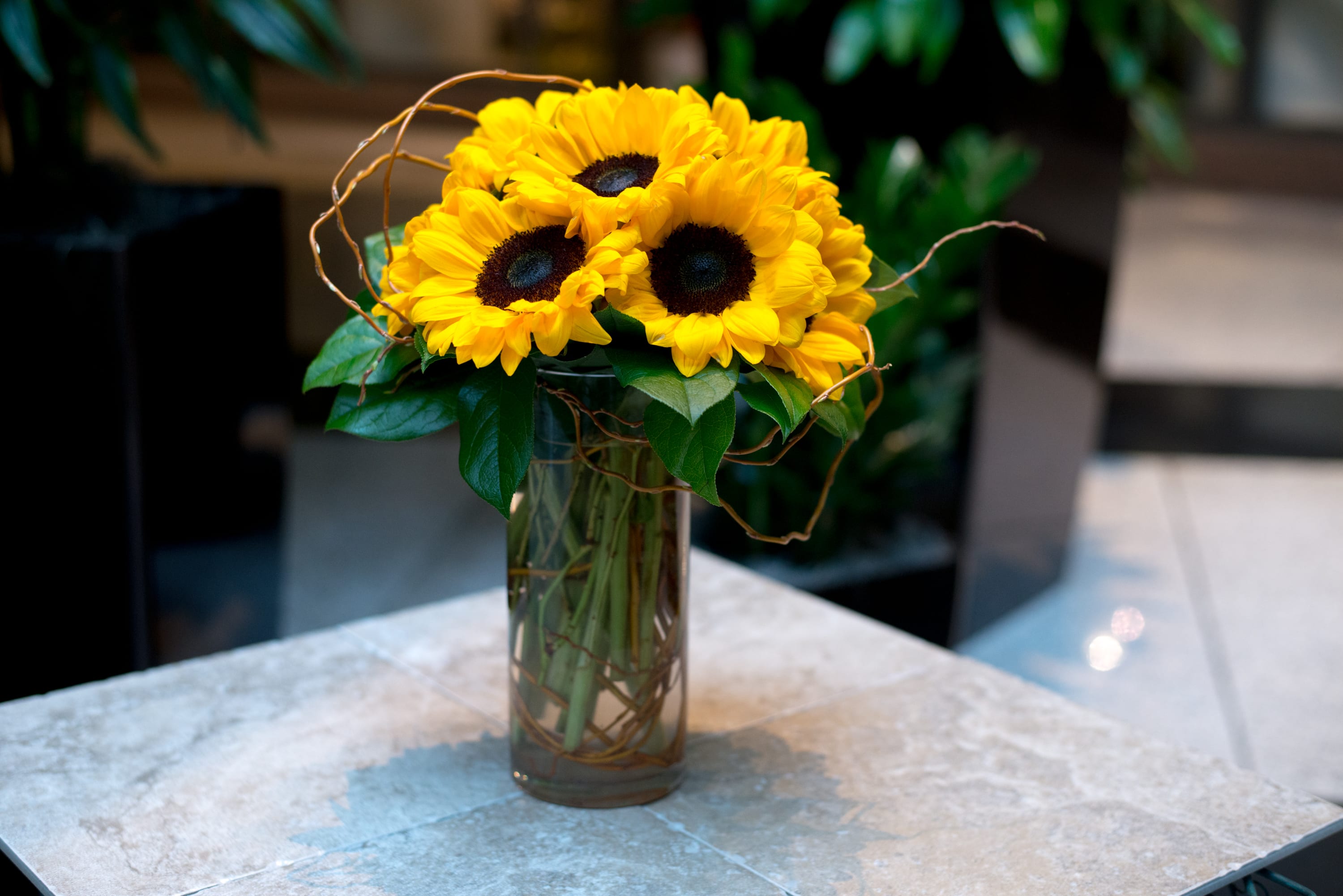 Sunflower bouquet in a tall glass vase