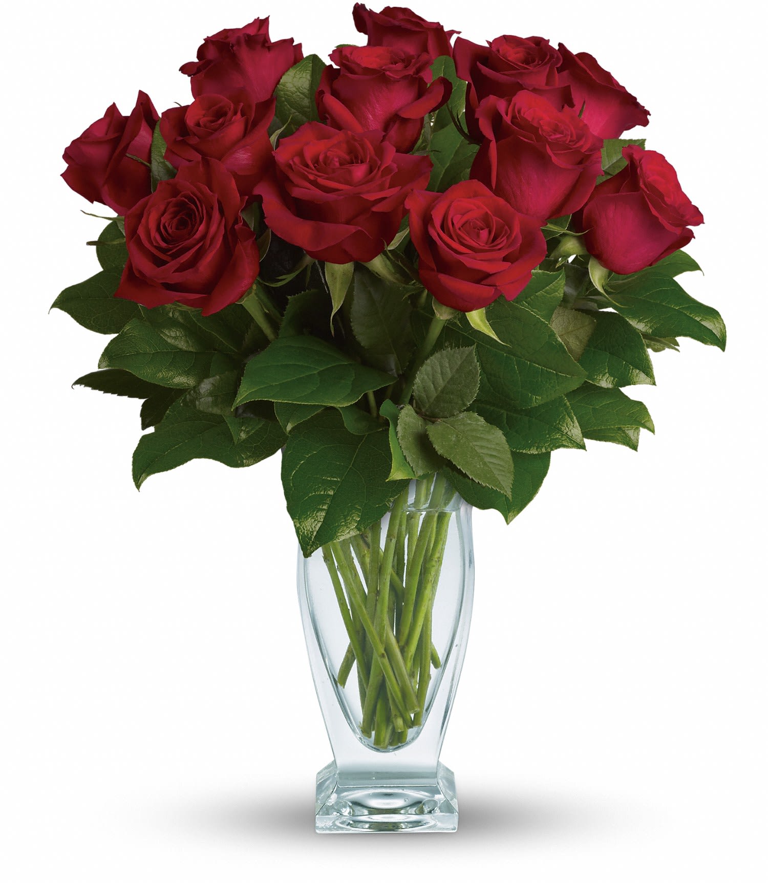 Teleflora's Rose Classique - Dozen Red RosesTeleflora's Rose Classique - Dozen Red Roses - Red roses have symbolized love and romance for centuries. One need only gaze at a classic red rose arrangement, like this one, to see why. Red roses are stunning, dramatic, and they say so much - without saying a word. 