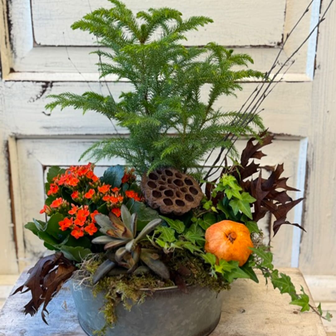Potted arrangement with orange flowers, ivy, and a small pumpkin