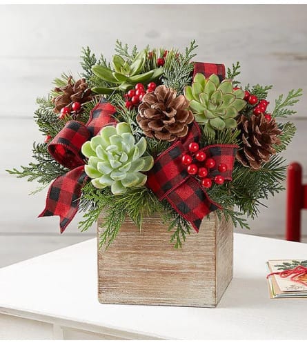 Succulent arrangement with pinecones and red plaid ribbon in a wooden box