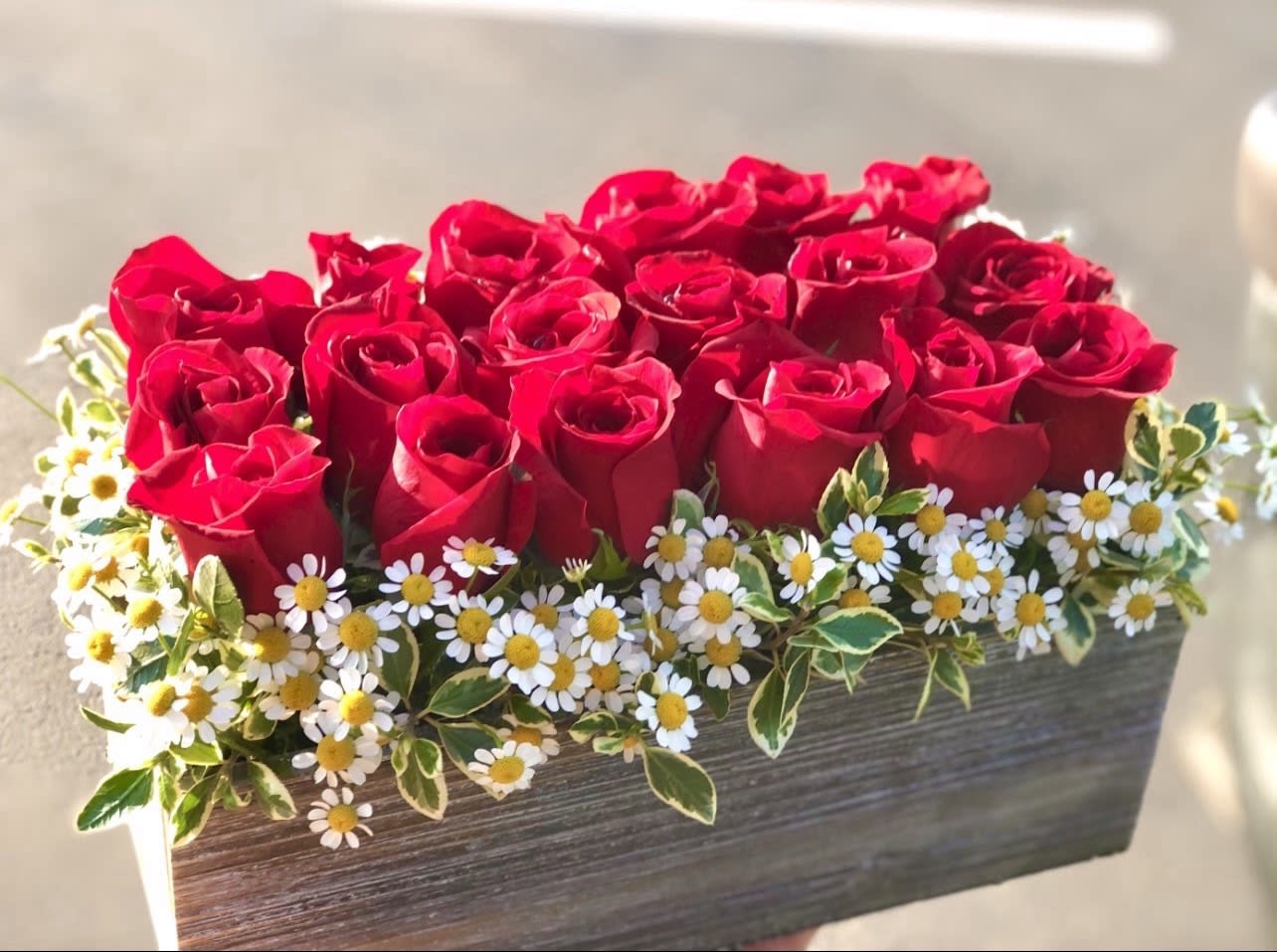 Red roses arranged in a rectangular box with small white daisies