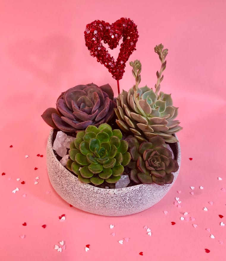 Succulent arrangement in a speckled bowl with a red heart topper